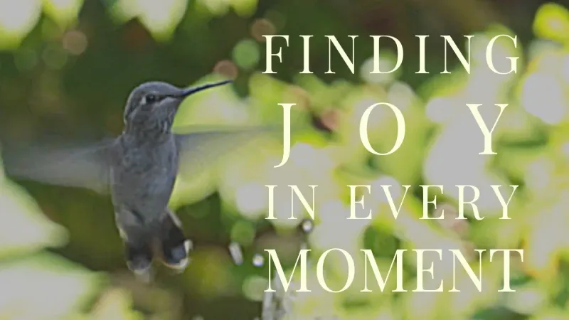 How to Find Joy in the Everyday Moments of Now